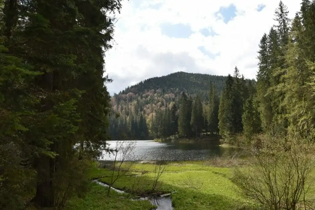 urichyshche krasnyy